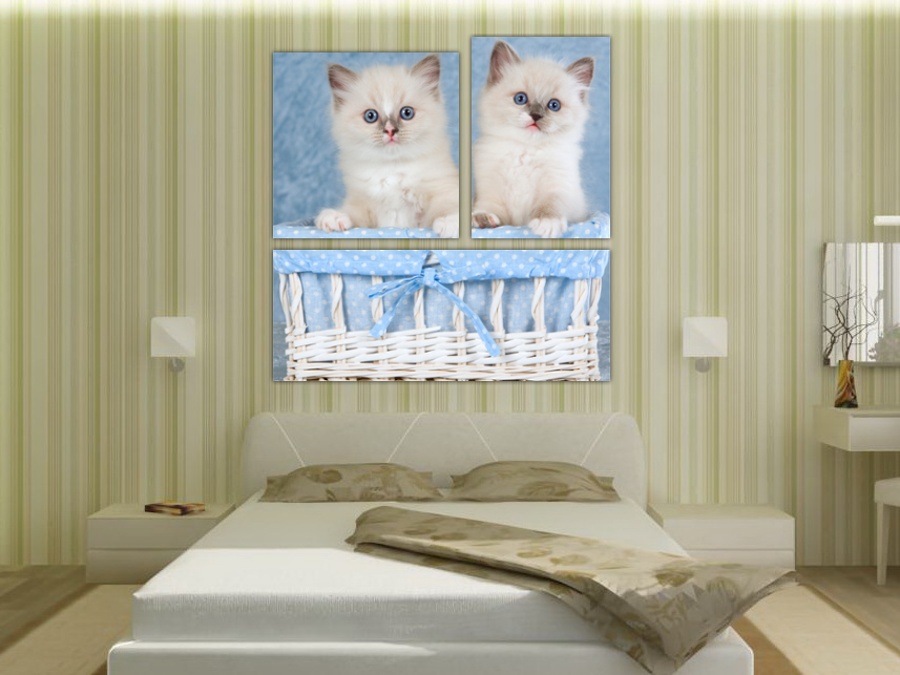 Белые котята | Спальная комната