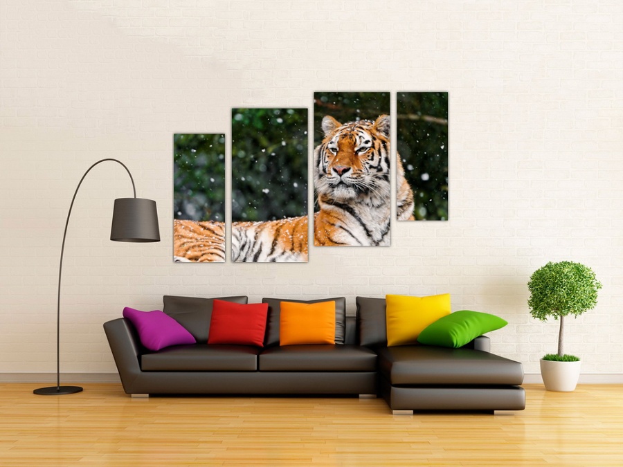 Бенгальский тигр | Кабинет