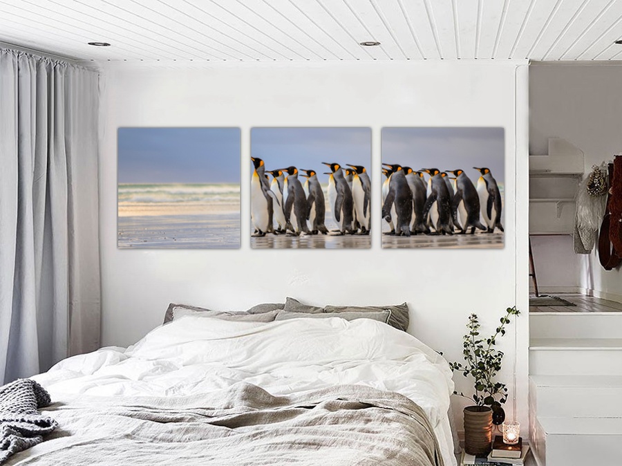 Стадо пингвинов | Кабинет