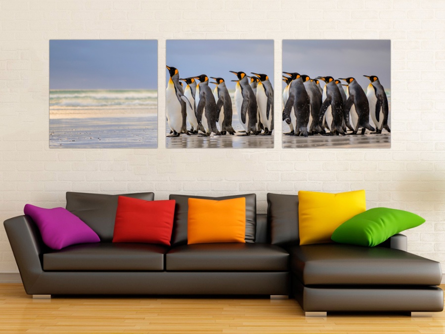 Стадо пингвинов | Спальная комната