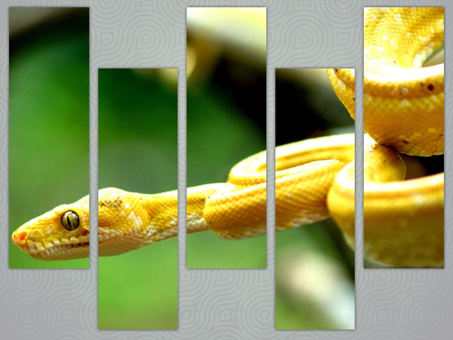 Желтая змея полный размер