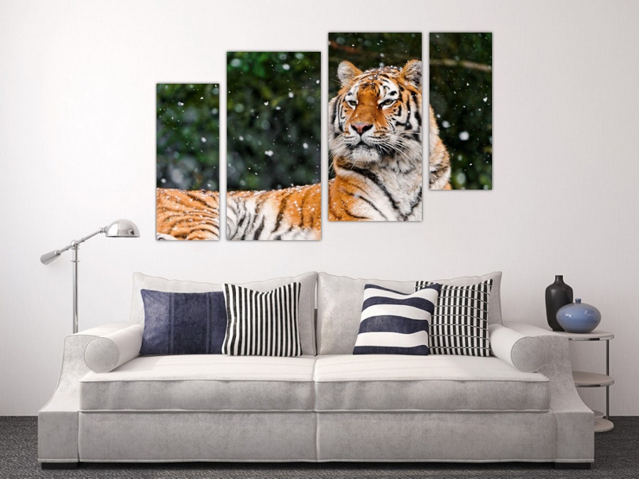 Бенгальский тигр | Коридор