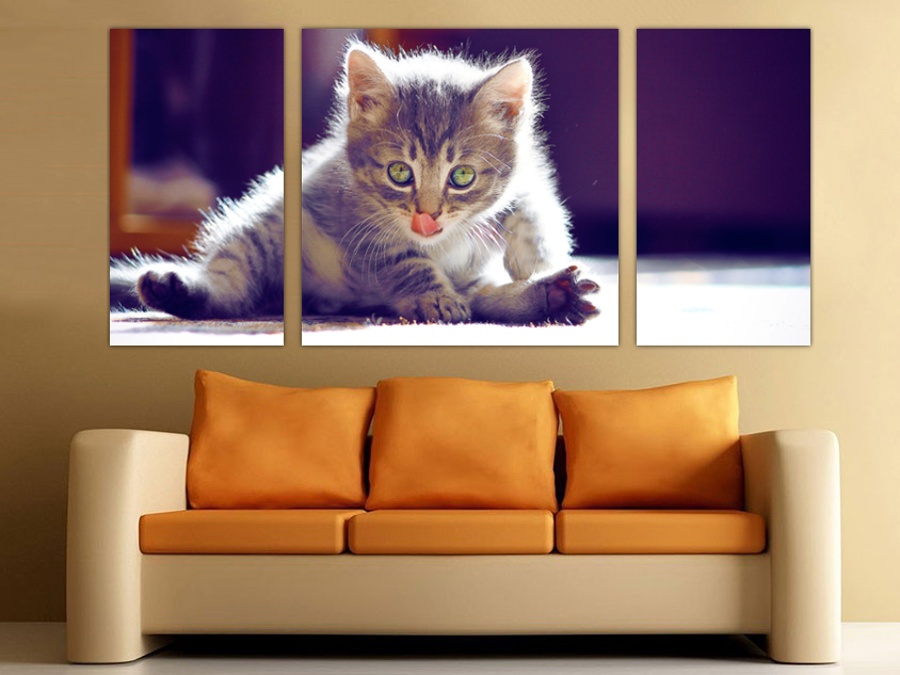Игривый котенок | Гостинная комната