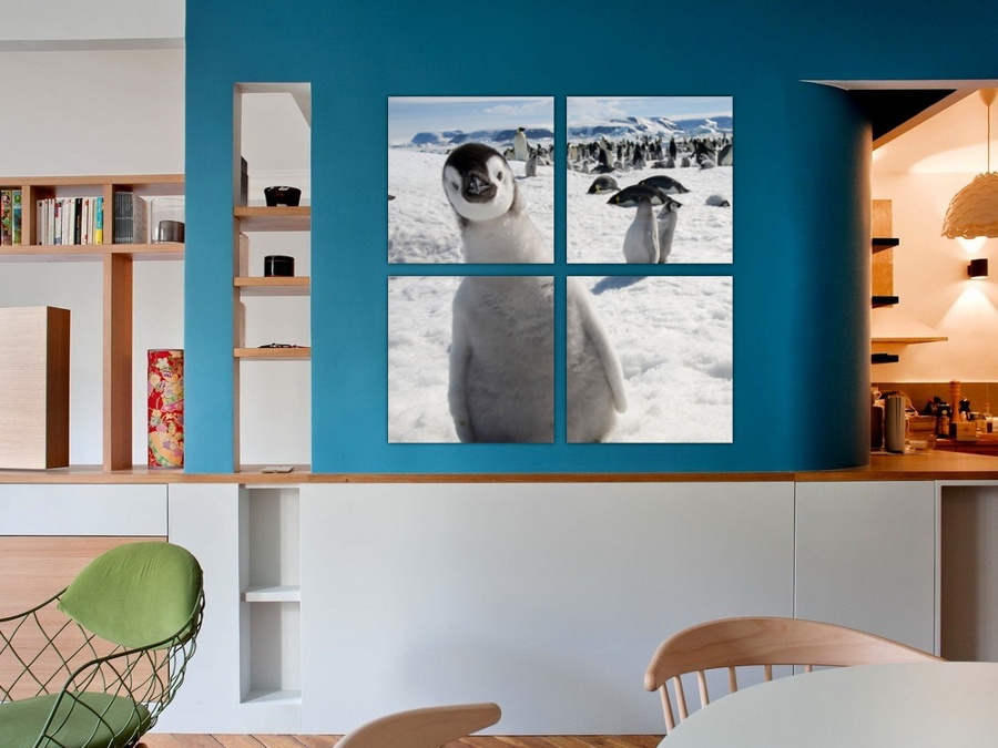 Любопытный пингвиненок | Детская комната