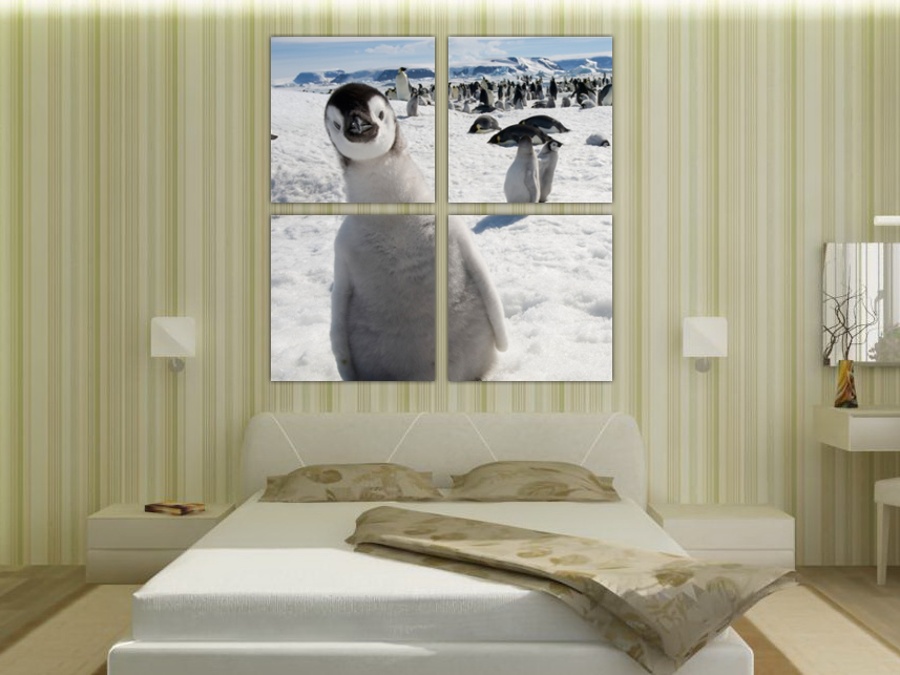 Любопытный пингвиненок | Спальная комната