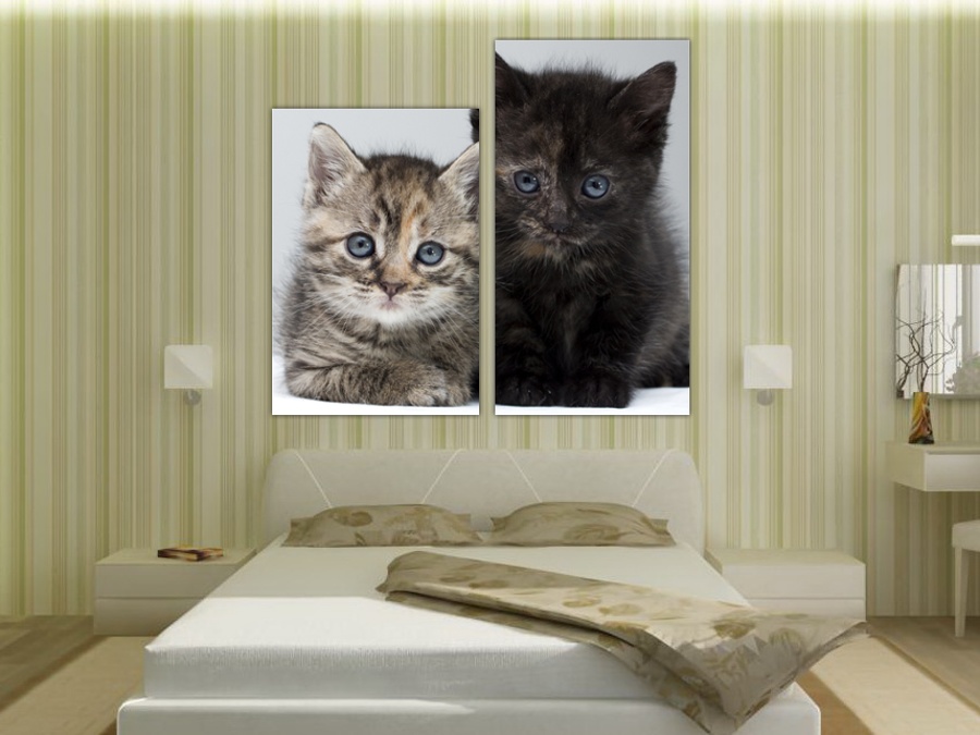 Маленькие пушистые котята | Спальная комната