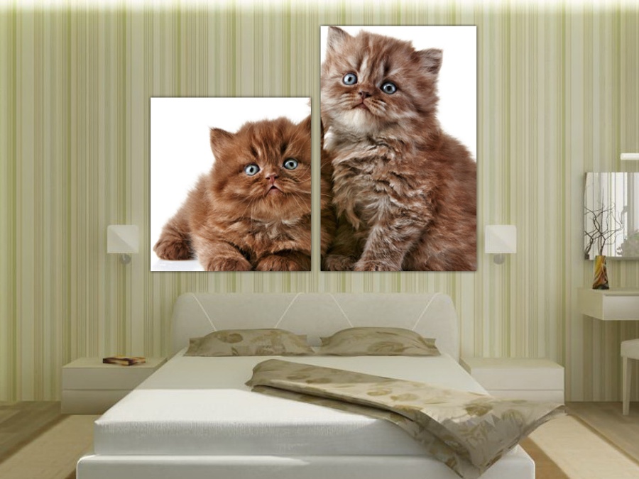 Милые котята | Спальная комната