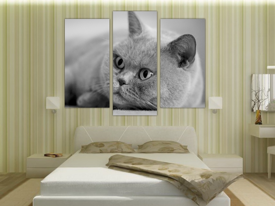 Персидская кошка | Спальная комната