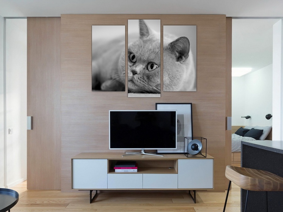 Персидская кошка | Гостинная комната
