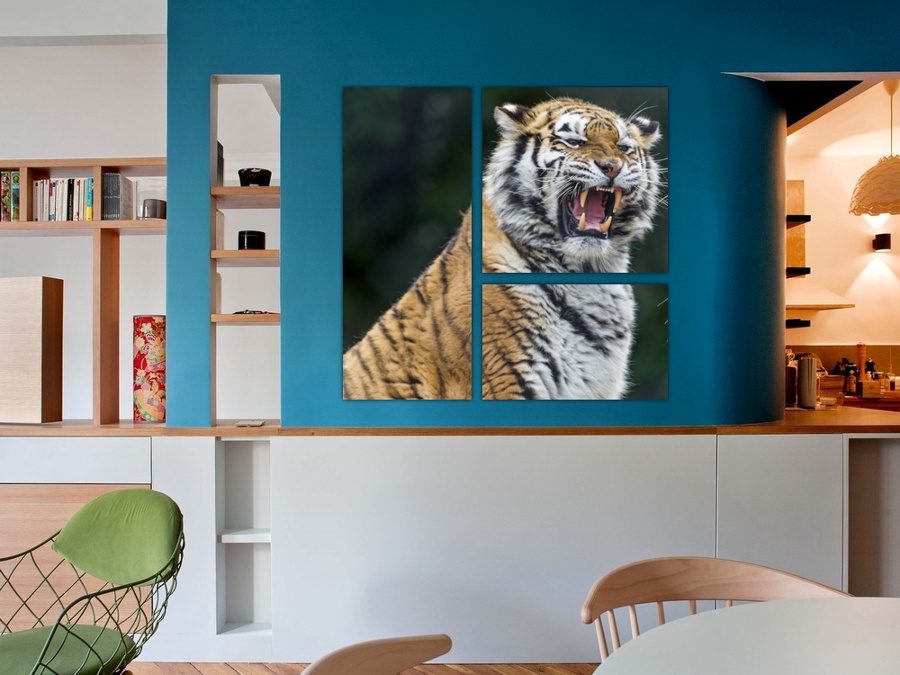 Спор тигров | Детская комната