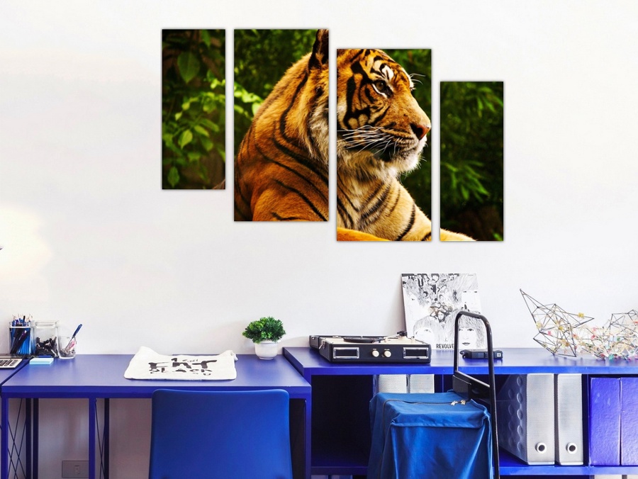 Тигр в джунглях | Прихожая
