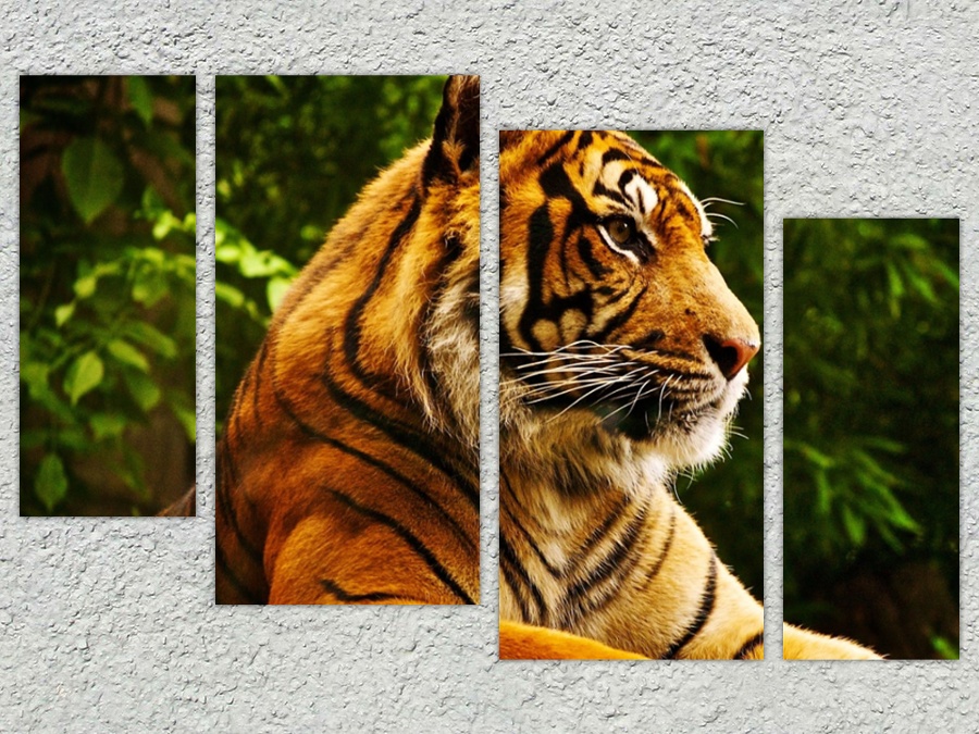 Тигр в джунглях полный размер