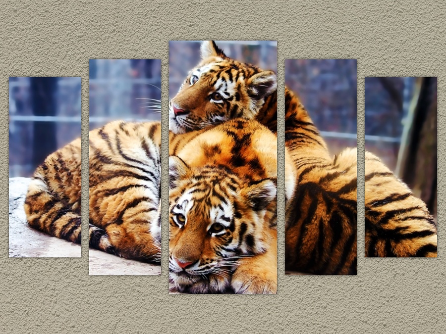 Тигрята полный размер