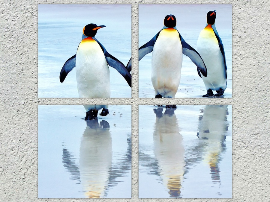 Веселые пингвины полный размер