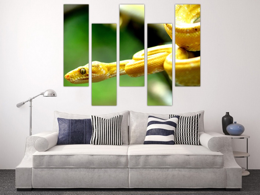 Желтая змея | Коридор
